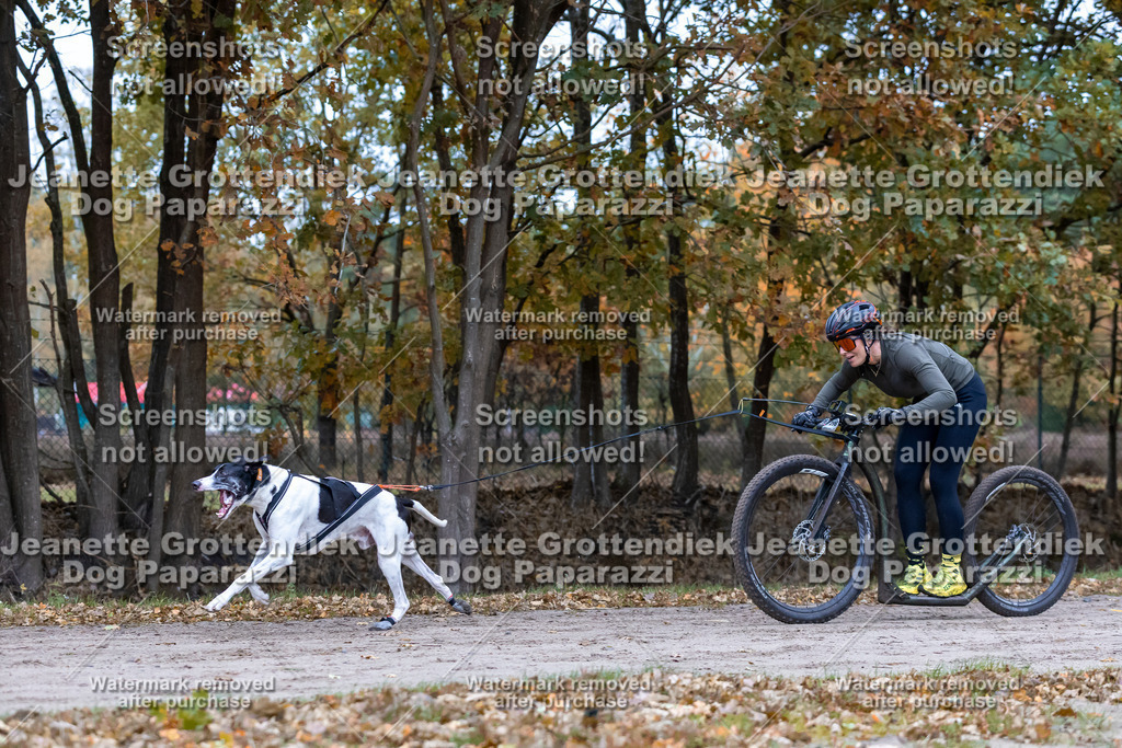 Dog Paparazzi - SD CaniX Championship 2025-85 | Dog Paparazzi Jeanette Grottendiek Fotografie & Videografie - Realisiert mit Pictrs.com