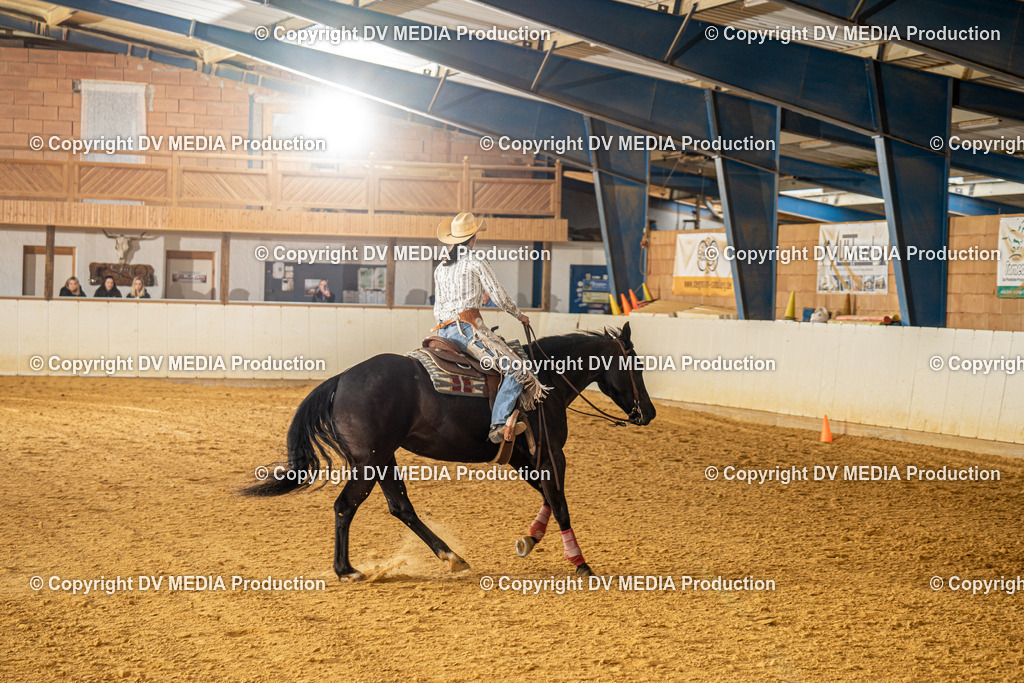 MIT00696 | dv-media-shop - Realisiert mit Pictrs.com