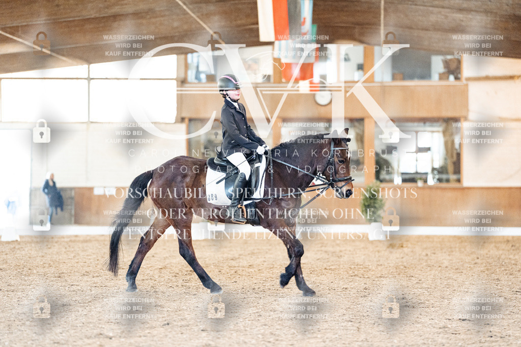 CK907195 | Turnierfotografie Pferdefotografie Trier Rheinland-Pfalz Pferdesport Reitsport Tierfotografie Sportfotografie Pferdevideo Pferdevideografie Equestrianvideography equestrianphotography  - Realisiert mit Pictrs.com