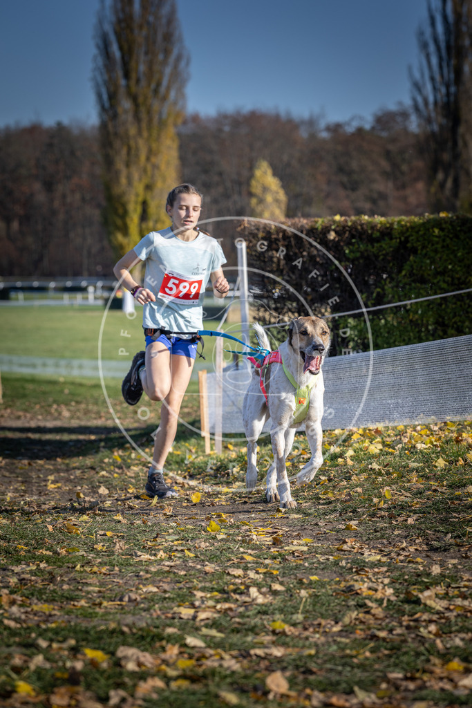 CaniXpix_DV3A9449 | Hundefotografie, Tierfotograf, Pfotenfotografie, Fotoshooting Hund, Hunde Portrait, Hundesport, Hundeportraits, Heideshooting, Hunde, Sportfotograf, Hundefotograf, Turnierhundsport, THS,  - Realisiert mit Pictrs.com