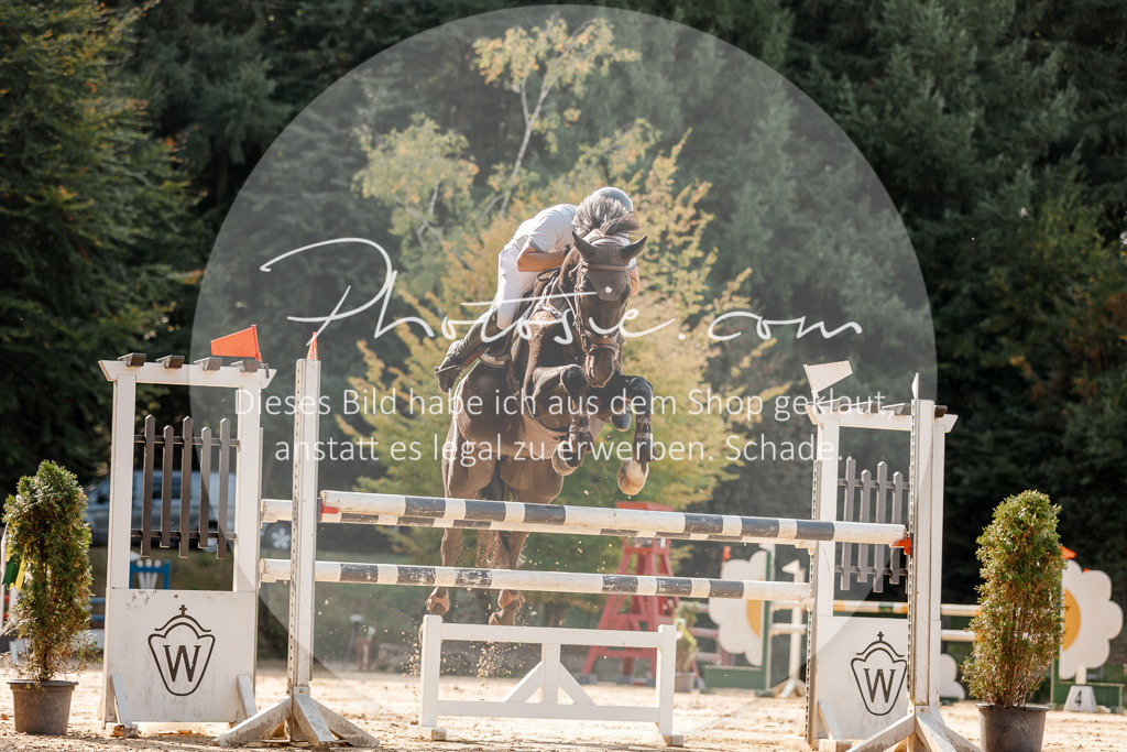 3I6A4746 | Stimmungsvolle Portraits und Reitsportfotografie im Ruhrgebiet und im Münsterland.

Pferdefotografie, Hundefotografie, Tierfotografie, Reportagen, Portraits von Tier und Mensch, Turnierfotografie in Bochum, Recklinghausen, Marl, Haltern am See, Dülmen.. - Realisiert mit Pictrs.com