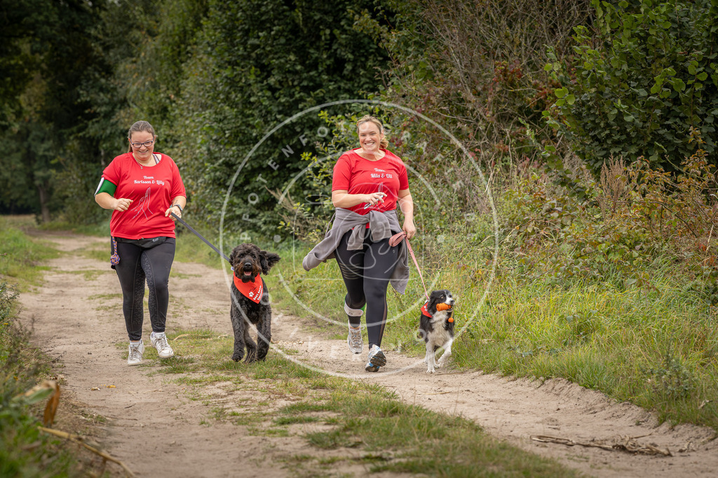 Pfotenfotografie_DV3A6590 | Hundefotografie, Tierfotograf, Pfotenfotografie, Fotoshooting Hund, Hunde Portrait, Hundesport, Hundeportraits, Heideshooting, Hunde, Sportfotograf, Hundefotograf, Turnierhundsport, THS,  - Realisiert mit Pictrs.com