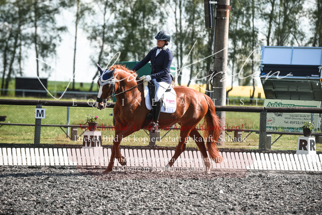 DSC_8855 | Pferde- und Turnierfotografie in Westsachsen. Pferdeportraits, Auftragszeichnungen und intuitive Kunst.