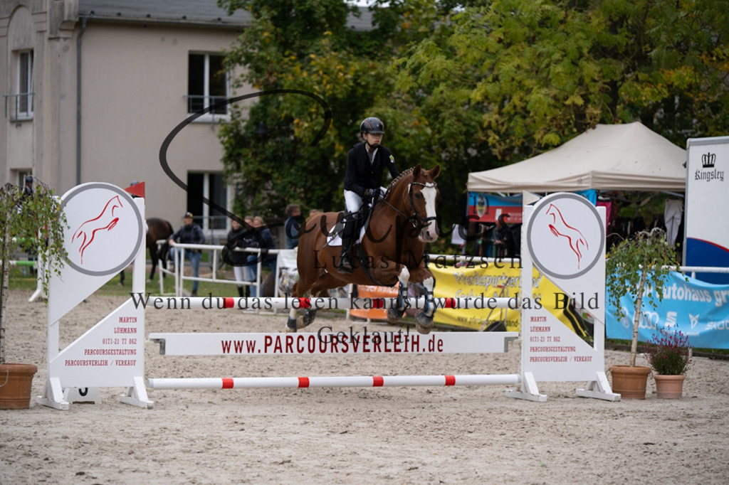 A7V08167 | Pferdefotograf