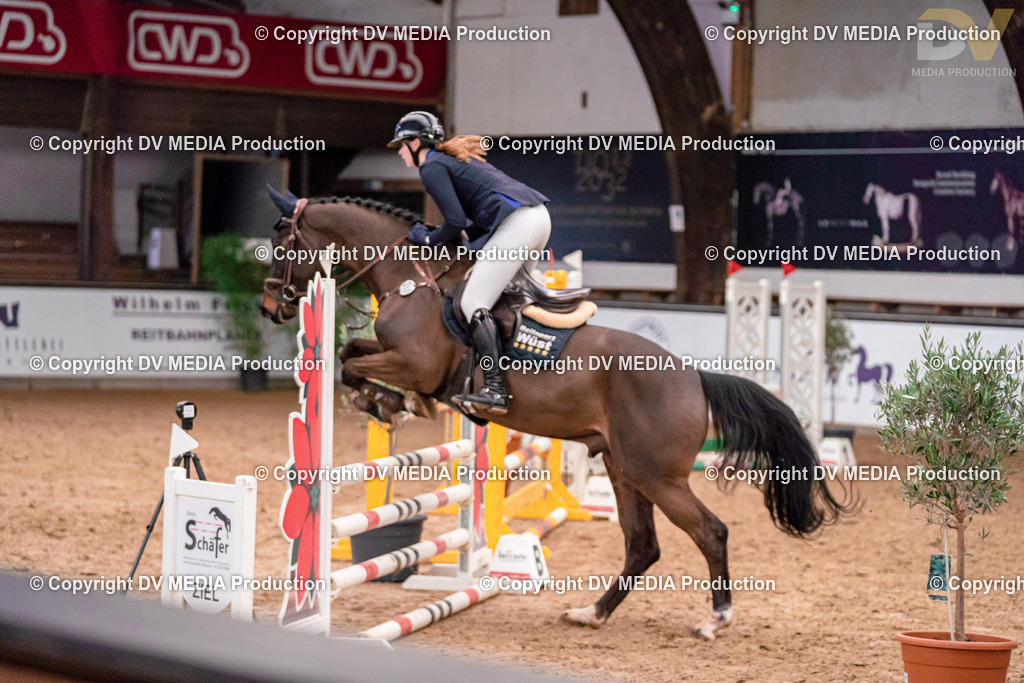 Kranichstein II Tag 1-270 | dv-media-shop - Realisiert mit Pictrs.com