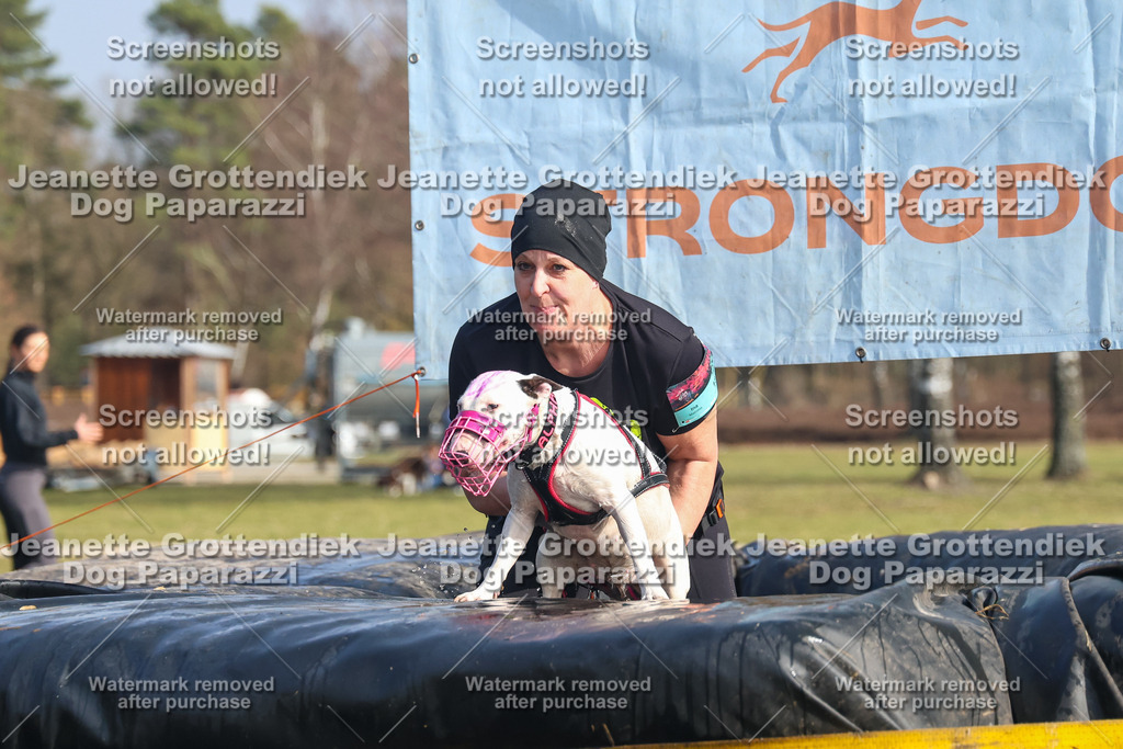 Dog Paparazzi - Strongdog North Mrz26-2426 | Dog Paparazzi Jeanette Grottendiek Fotografie & Videografie - Realisiert mit Pictrs.com