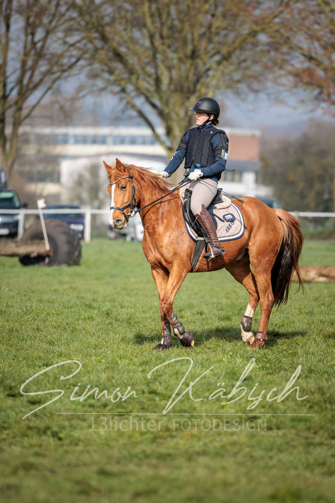 20260329-_3LI3307 | Tierfotografie Pferde, Hunde, Katzen, Haustiere.
Turnierfotografie Reitturniere, Reiten, Springreiten, Dressur in Hanau, dem Main-Kinzig-Kreis und dem Rhein-Main- Gebiet um Frankfurt