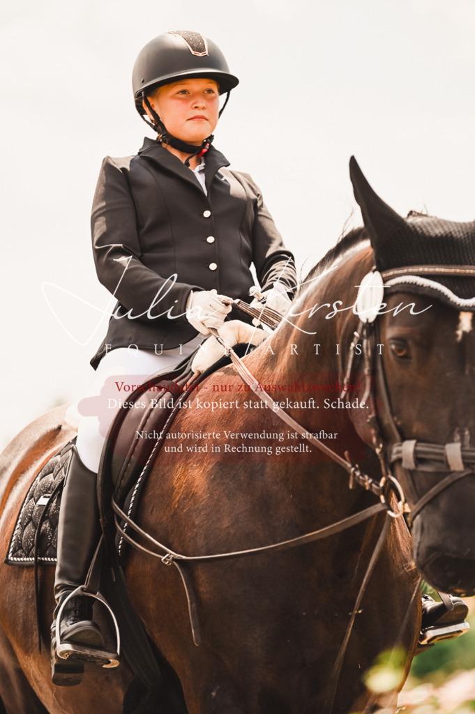 DSC_6291 | Pferde- und Turnierfotografie in Westsachsen. Pferdeportraits, Auftragszeichnungen und intuitive Kunst.