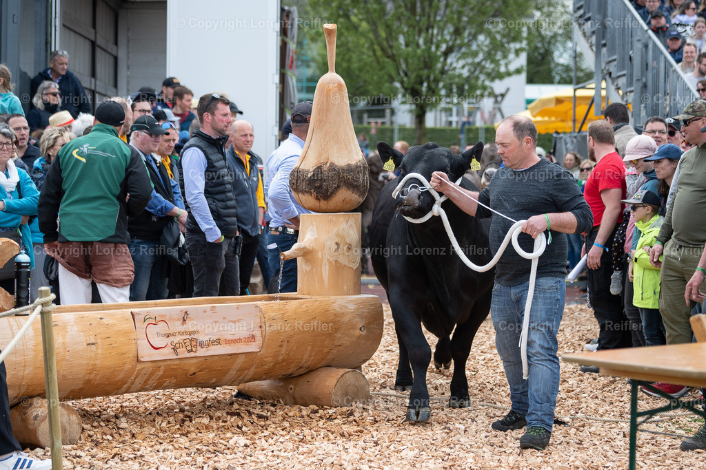 Schwingen -  TG Kantonal 2023 | Neukirch-Egnach, 30.4.23, Schwingen - TG Kantonal.