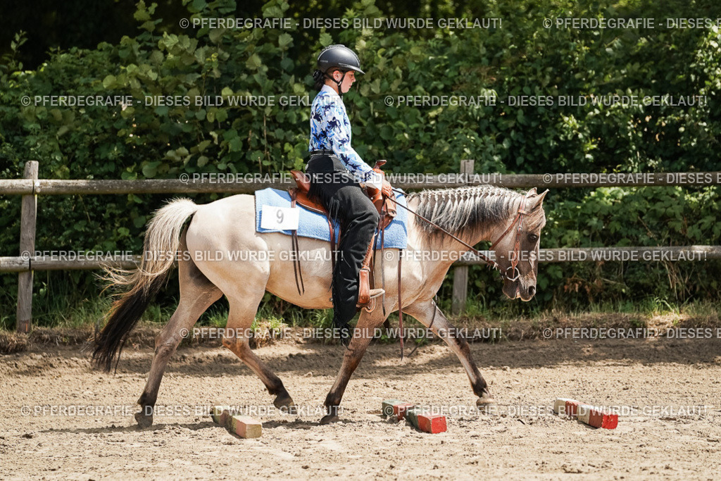 DSC07901 | Pferdegrafie