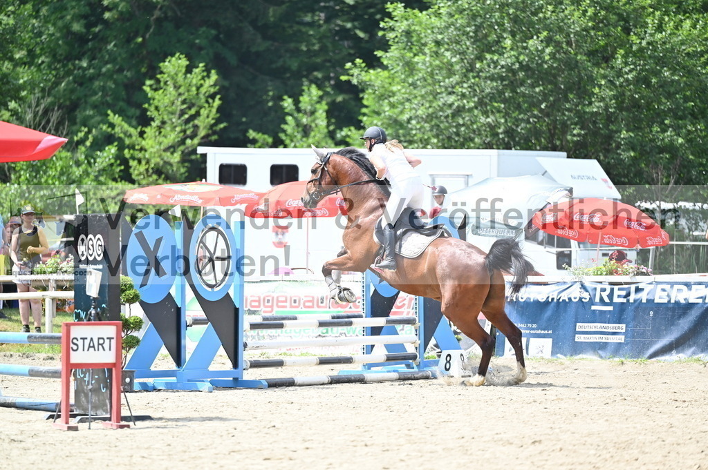 DSC_4203 | equestrian-live-com