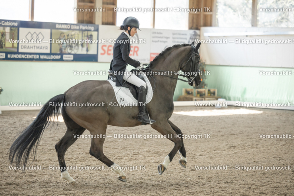 _D5A2193 | Emotionale Pferde- & People-Fotografie rund um Heidelberg, Leimen & Umgebung. Natürliche Fotos von Pferd, Mensch & Familie. Jetzt Termin sichern!