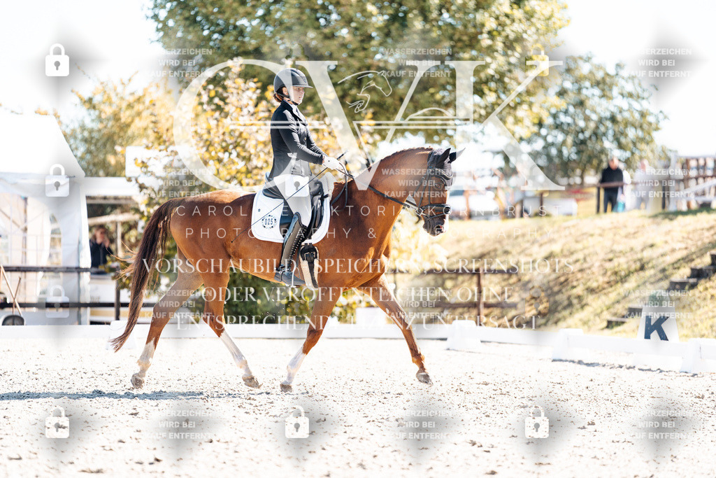 CK909147 | Turnierfotografie Pferdefotografie Trier Rheinland-Pfalz Pferdesport Reitsport Tierfotografie Sportfotografie Pferdevideo Pferdevideografie Equestrianvideography equestrianphotography  - Realisiert mit Pictrs.com
