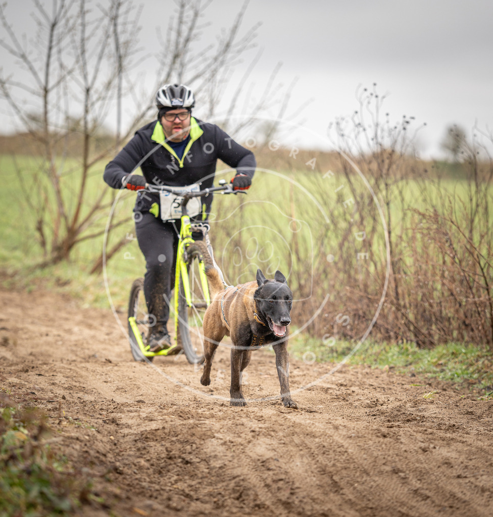 DV3A9302 | Hundefotografie, Tierfotograf, Pfotenfotografie, Fotoshooting Hund, Hunde Portrait, Hundesport, Hundeportraits, Heideshooting, Hunde, Sportfotograf, Hundefotograf, Turnierhundsport, THS,  - Realisiert mit Pictrs.com