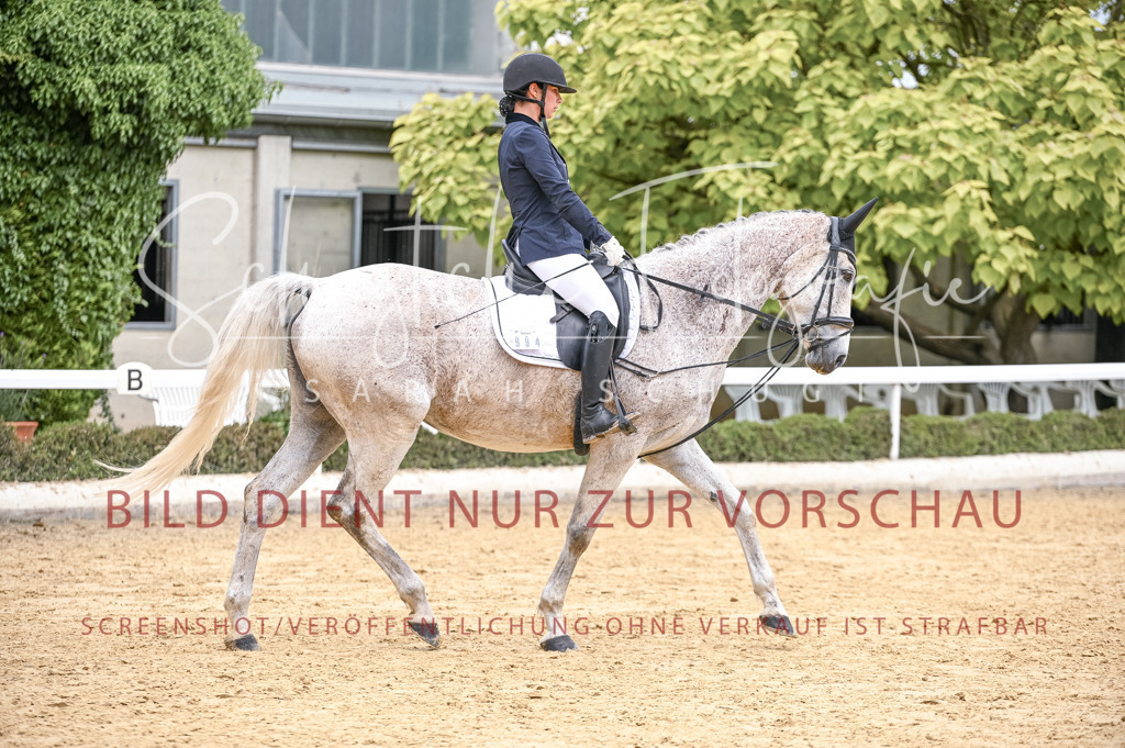 Schugtsche-Aluta25-44.DresssurreiterWB-15 | Schugtsche Fotografie - Realisiert mit Pictrs.com