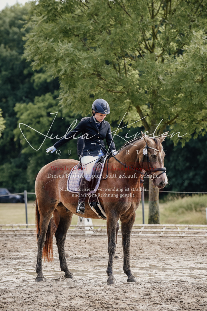DSC_9322 | Pferde- und Turnierfotografie in Westsachsen. Pferdeportraits, Auftragszeichnungen und intuitive Kunst.