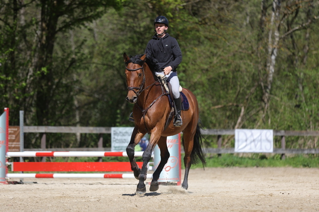 0P6A8159 | Willkommen bei Brunnmayr - Design & Fotografie – Ihrem Spezialisten für Reitturniere und Pferdeveranstaltungen in Oberösterreich, Salzburg und Bayern! Seit über 17 Jahren sind wir leidenschaftlich dabei.