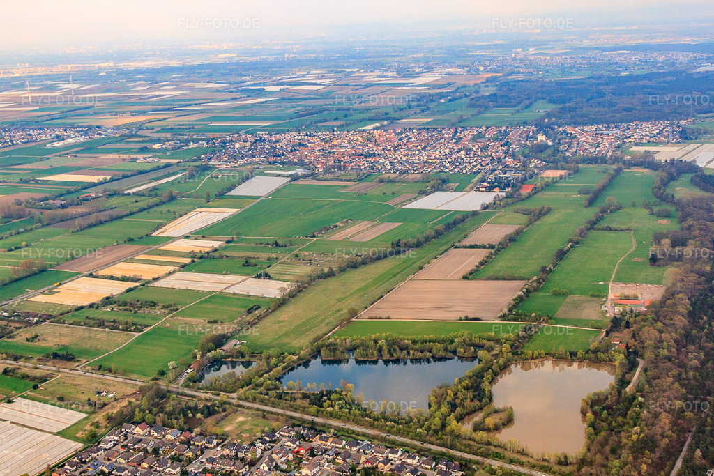 Luftbild: Ortsansicht aus Westen im Ortsteil Iggelheim in Böhl-Iggelheim im Bundesland Rheinland-Pfalz in Deutschland. Foto: IMG_49886.jpg vom 13.04.2012 durch Werner Riehm/FLY-FOTO.de