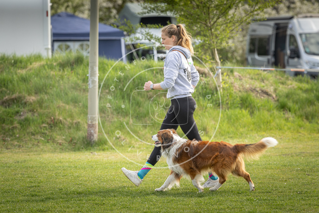 Pfotenfotografie_DV3A4952 | Hundefotografie, Tierfotograf, Pfotenfotografie, Fotoshooting Hund, Hunde Portrait, Hundesport, Hundeportraits, Heideshooting, Hunde, Sportfotograf, Hundefotograf, Turnierhundsport, THS,  - Realisiert mit Pictrs.com