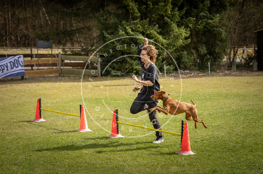Pfotenfotografie_DV3A9201 | Hundefotografie, Tierfotograf, Pfotenfotografie, Fotoshooting Hund, Hunde Portrait, Hundesport, Hundeportraits, Heideshooting, Hunde, Sportfotograf, Hundefotograf, Turnierhundsport, THS,  - Realisiert mit Pictrs.com