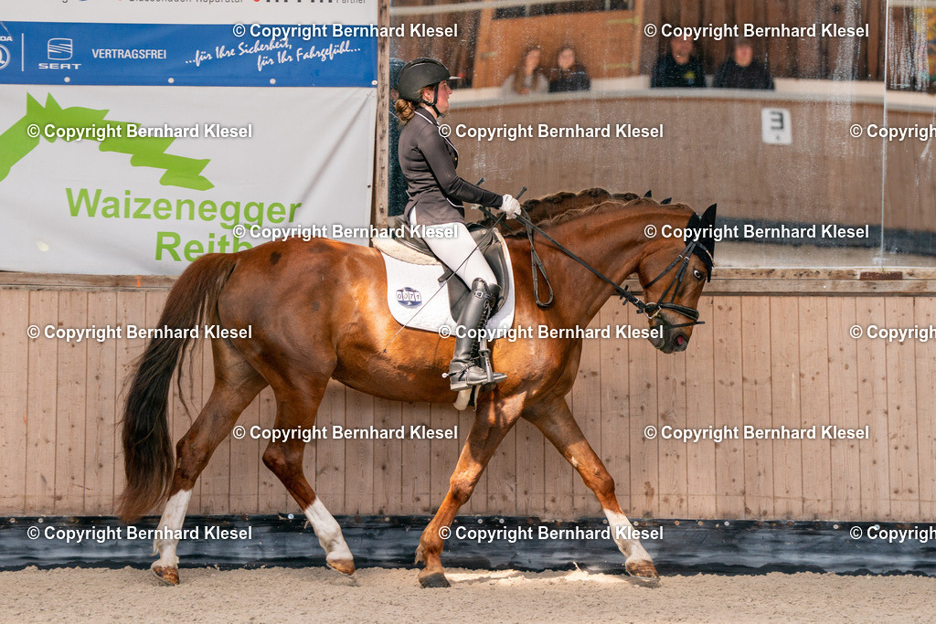 2A901749 | foto-team-bernhard - Realisiert mit Pictrs.com