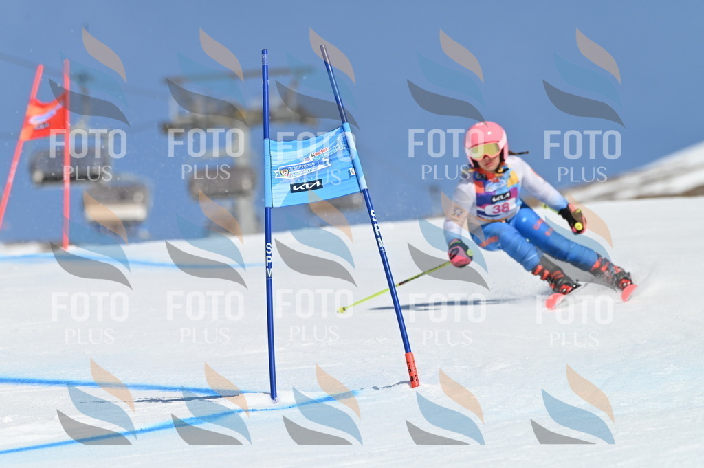 BGV_8309 | holidayphoto