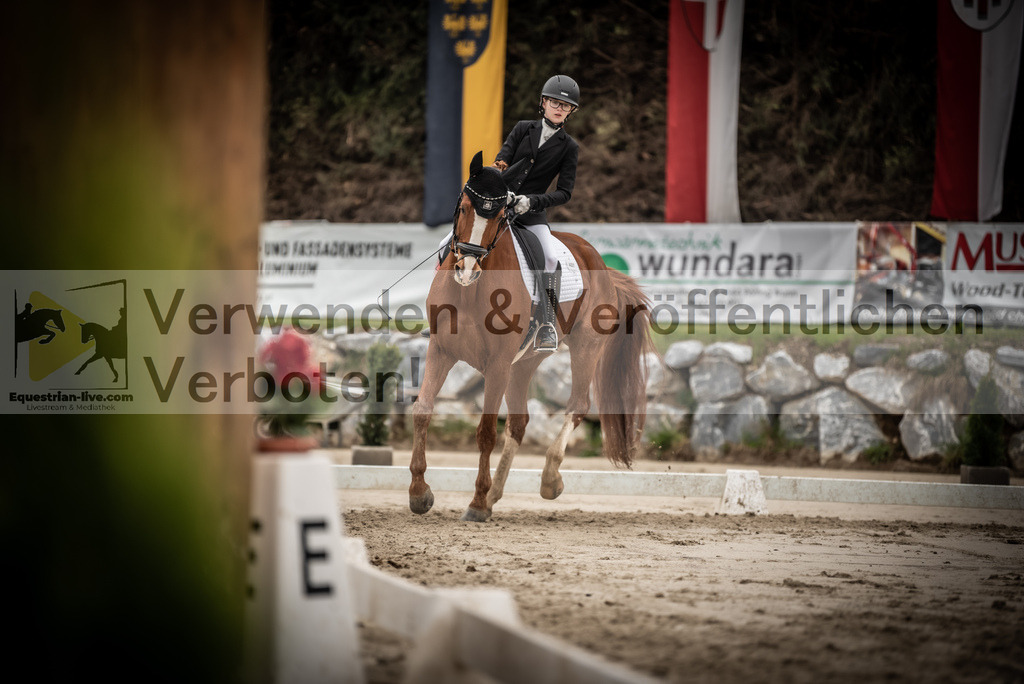 DSC_0206 | equestrian-live-com