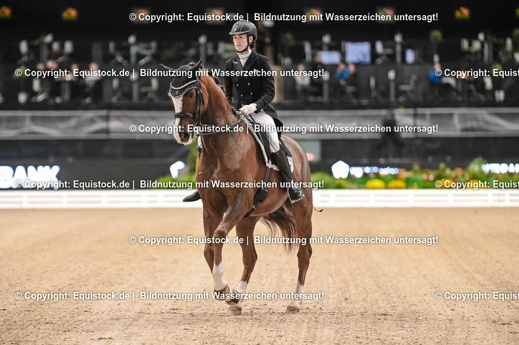 20251112_Dressur_iWest_TOMSPIC_00020002 | Foto: Thomas Hartig