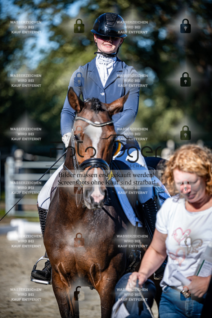2026-09-Lohne-11-0003 | Entdecke hochwertige Reitturnierfotos von Foto Oger. Professionell, emotional und authentisch – jetzt Lieblingsmomente im Shop bestellen.Deutschlandweite Turnierfotografie. - Realisiert mit Pictrs.com