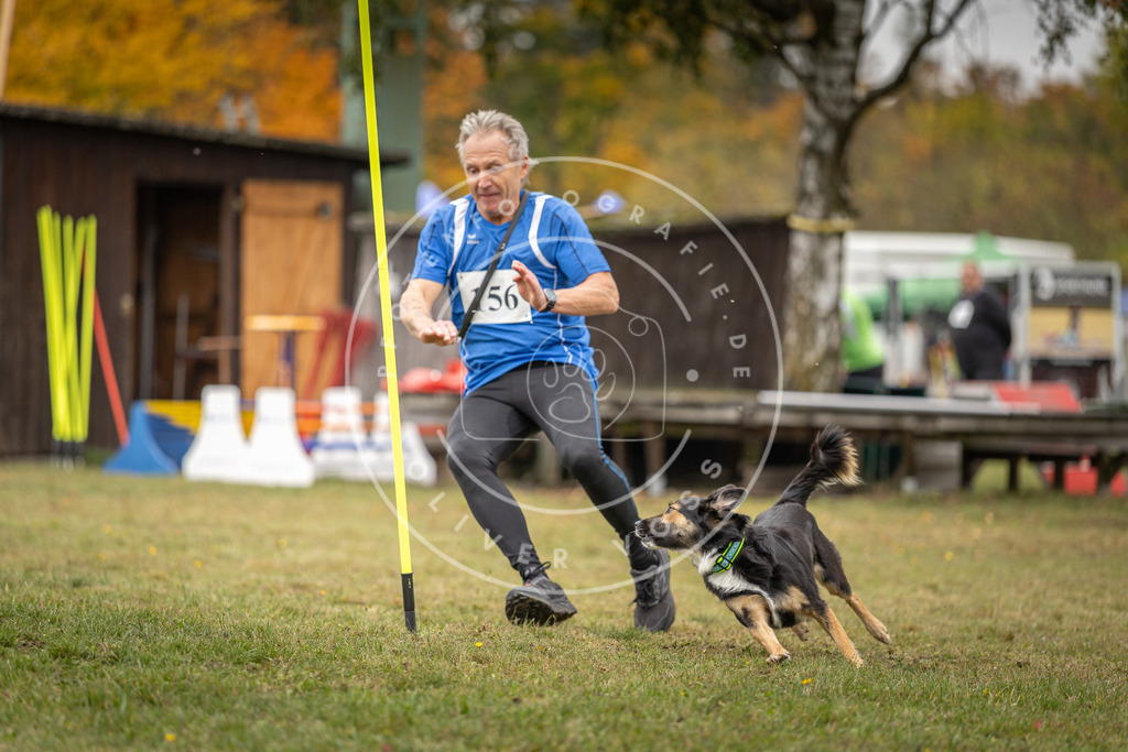 Pfotenfotografie_DV3A6252 | Hundefotografie, Tierfotograf, Pfotenfotografie, Fotoshooting Hund, Hunde Portrait, Hundesport, Hundeportraits, Heideshooting, Hunde, Sportfotograf, Hundefotograf, Turnierhundsport, THS,  - Realisiert mit Pictrs.com