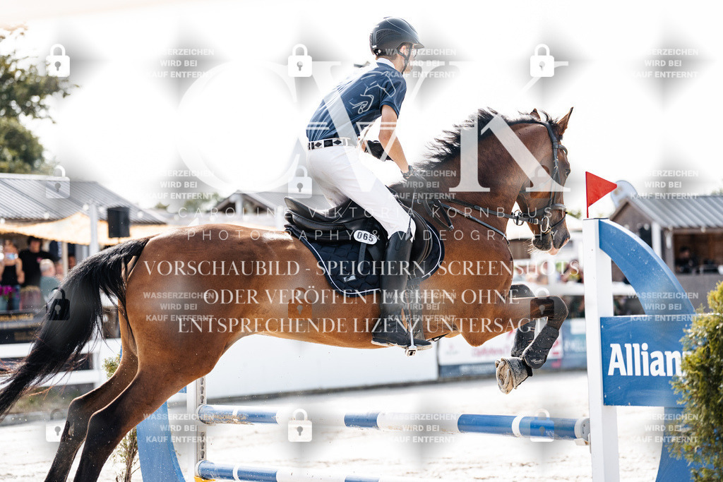 CK905474 | Turnierfotografie Pferdefotografie Trier Rheinland-Pfalz Pferdesport Reitsport Tierfotografie Sportfotografie Pferdevideo Pferdevideografie Equestrianvideography equestrianphotography  - Realisiert mit Pictrs.com