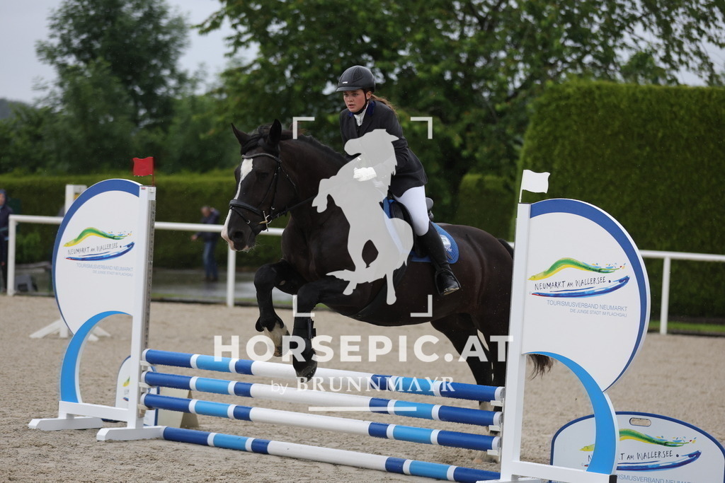0P6A7409 | Willkommen bei Brunnmayr - Design & Fotografie – Ihrem Spezialisten für Reitturniere und Pferdeveranstaltungen in Oberösterreich, Salzburg und Bayern! Seit über 17 Jahren sind wir leidenschaftlich dabei.