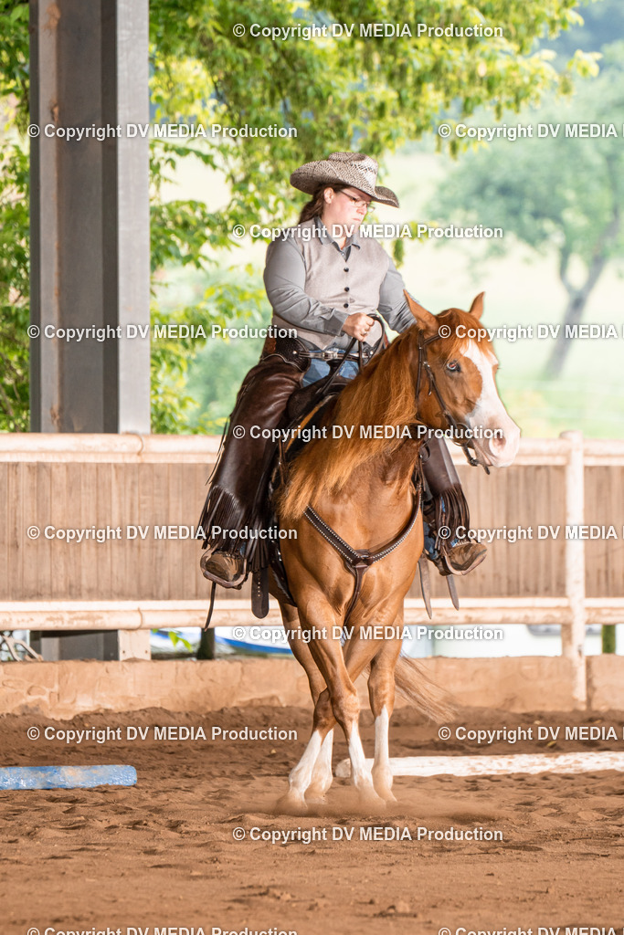 Erbach Tag 2-519 | dv-media-shop - Realisiert mit Pictrs.com