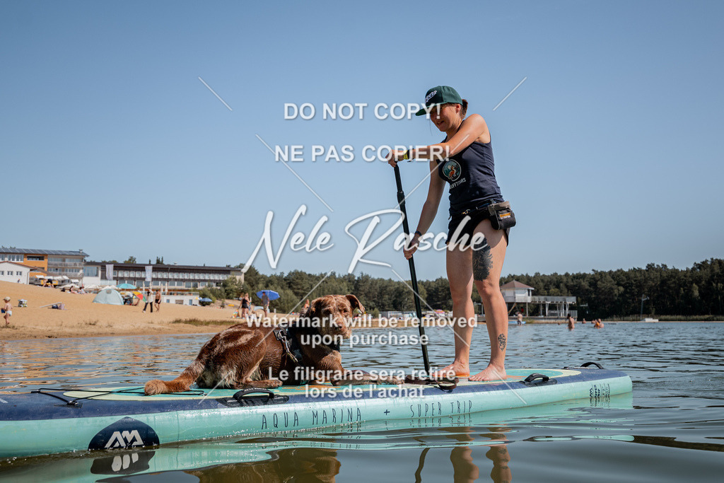 nelerasche_saSUP3_144 | nelerasche