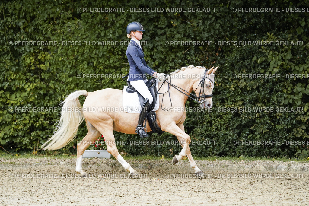 DSC07596 | Pferdegrafie