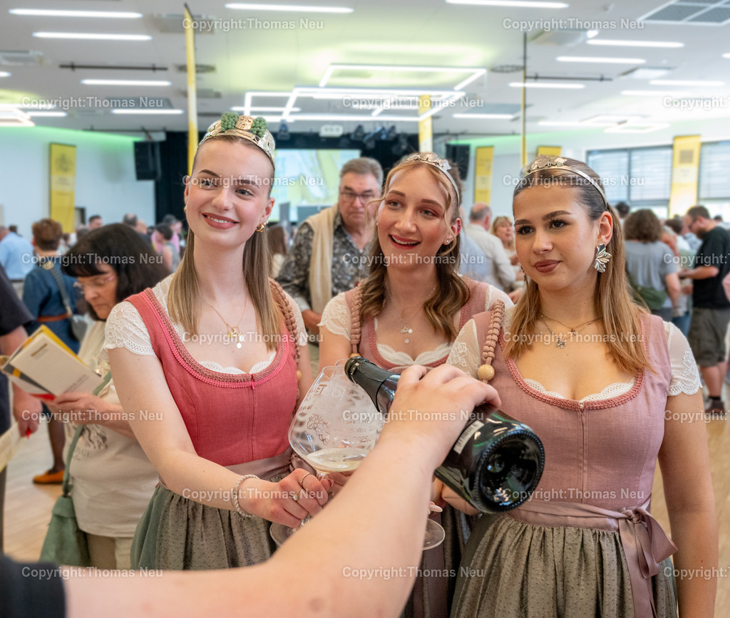 Weintreff-Bensheim-Fotografie-Thomas-Neu_4 | Im Bensheimer Bürgerhaus fand im Rahmen des Weinfrühlings 2026 der Bergsträßer Weintreff statt, die Bergsträßer Winzer präsentierten ihre Weine und Sekte