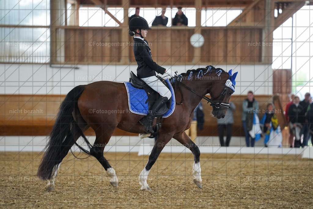 20240825-FAH09564 | Turnierbilder, Reitsportfotos, LAPO, Landesponyturnier, Turnierfotografen Bayern