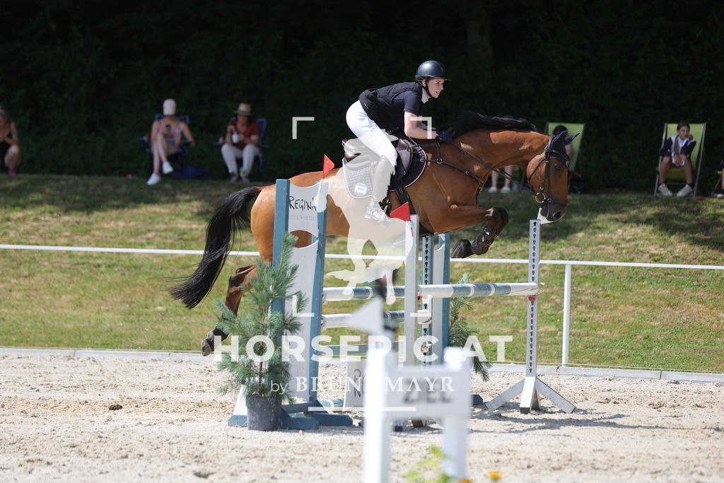 0P6A0396 | Willkommen bei Brunnmayr - Design & Fotografie – Ihrem Spezialisten für Reitturniere und Pferdeveranstaltungen in Oberösterreich, Salzburg und Bayern! Seit über 17 Jahren sind wir leidenschaftlich dabei.