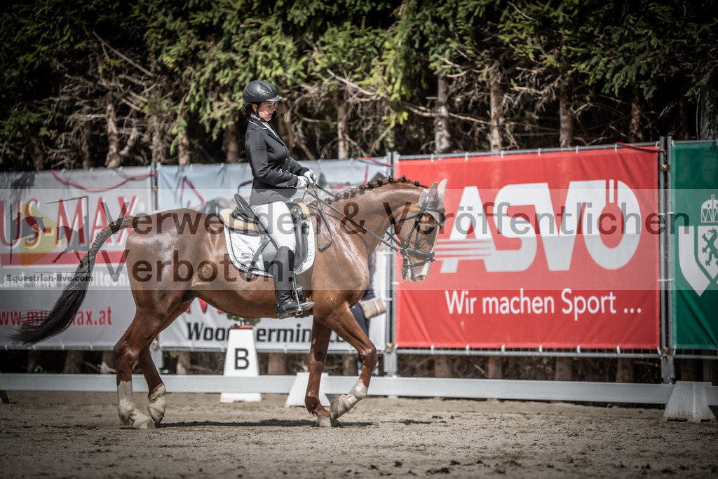 DSC_2986 | equestrian-live-com
