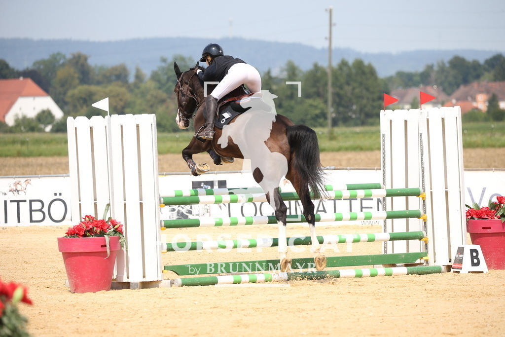 DL2Q4266 | Willkommen bei Brunnmayr - Design & Fotografie – Ihrem Spezialisten für Reitturniere und Pferdeveranstaltungen in Oberösterreich, Salzburg und Bayern! Seit über 17 Jahren sind wir leidenschaftlich dabei.