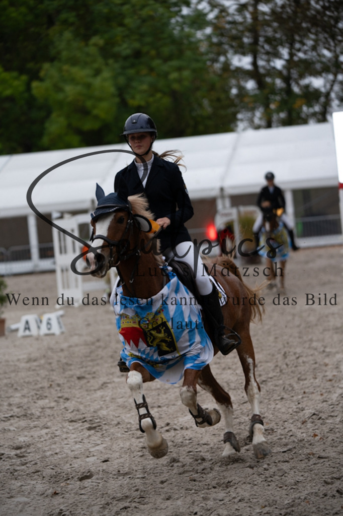 A7V00202 | Pferdefotograf