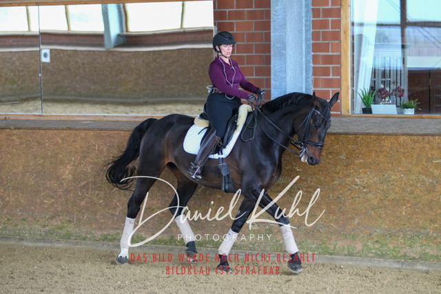 DKP42854 | Turniersportfotografie; Pferdefotografie; Dressurfotografie