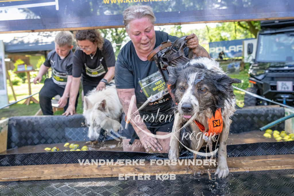 1426_ZZ94133 | kk-dogfotos