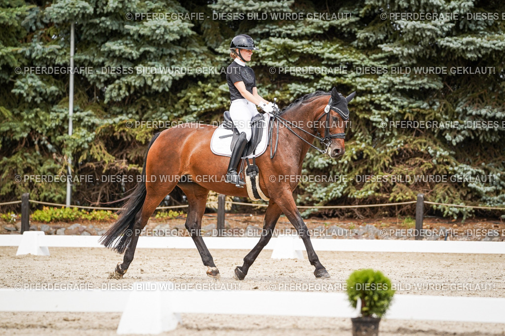 DSC06146 | Pferdegrafie