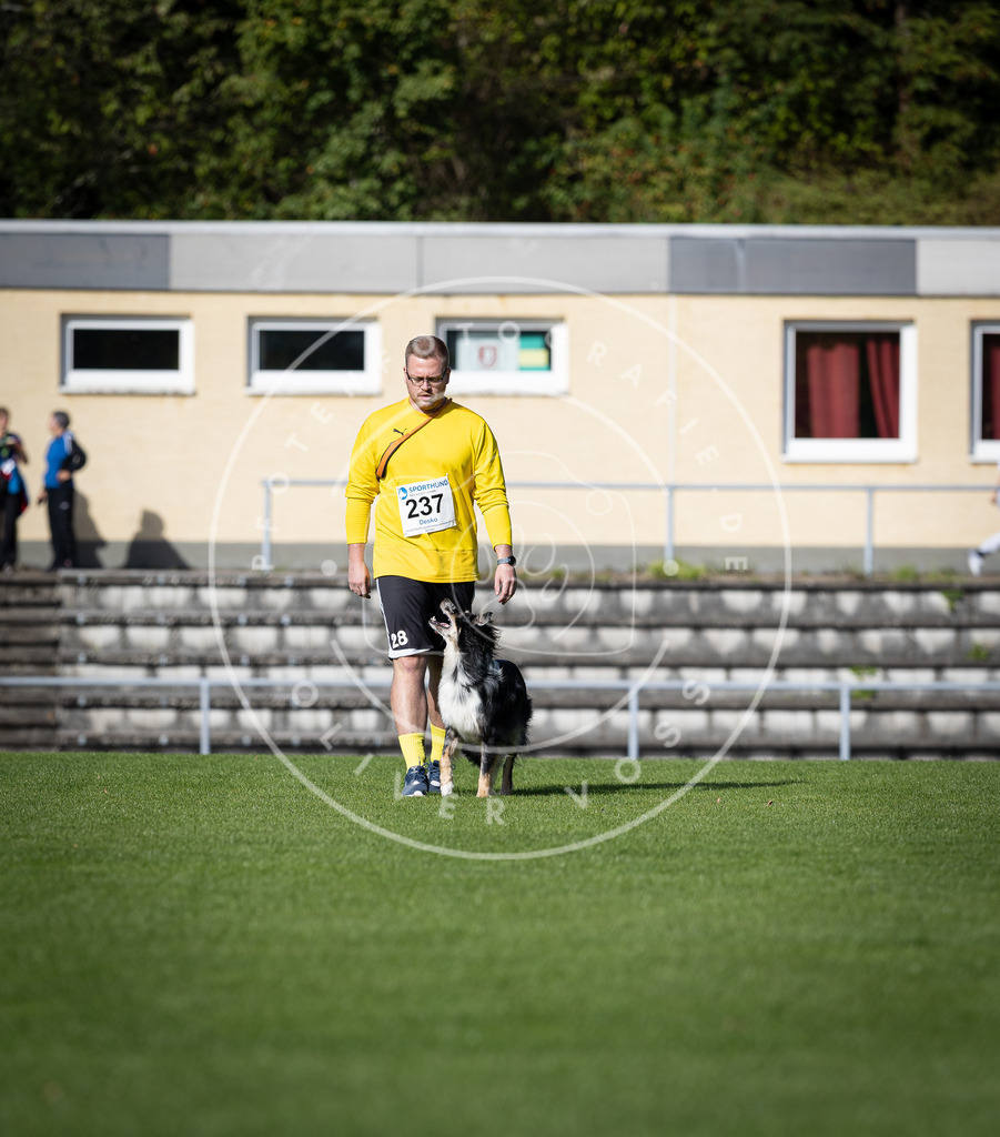 Pfotenfotografie_DV3A4887 | Hundefotografie, Tierfotograf, Pfotenfotografie, Fotoshooting Hund, Hunde Portrait, Hundesport, Hundeportraits, Heideshooting, Hunde, Sportfotograf, Hundefotograf, Turnierhundsport, THS,  - Realisiert mit Pictrs.com