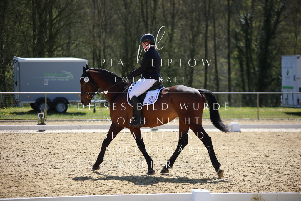 IMGT1603 | pl-fotografie