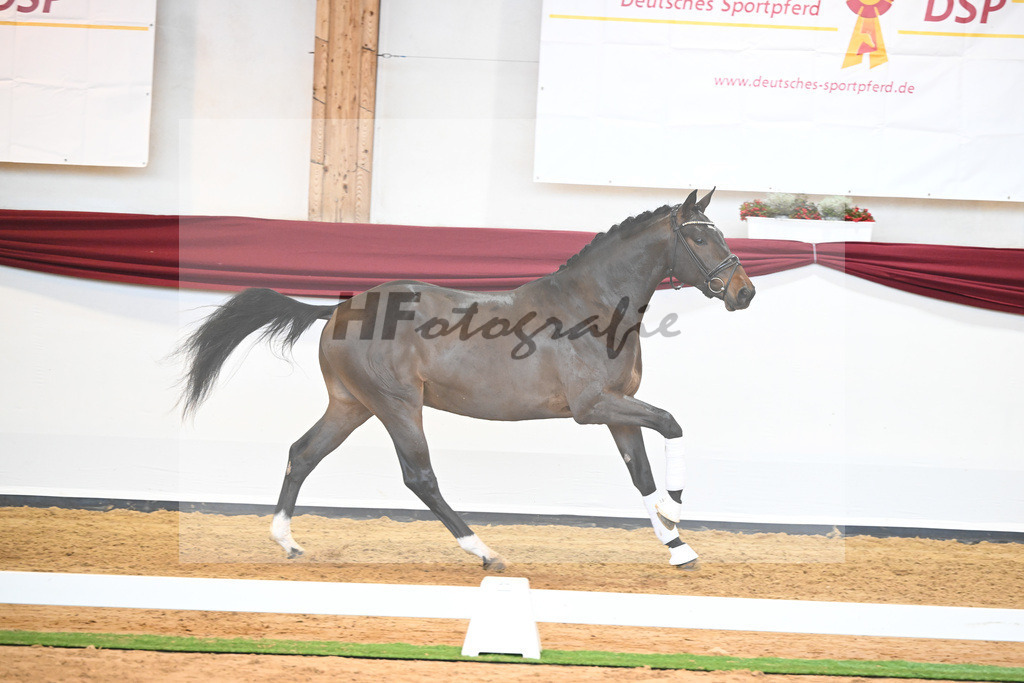 Kat-Nr. 43 v. Mykonos_Sommer_66220974 | hf-fotografie - Realisiert mit Pictrs.com