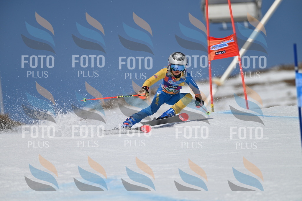 BGV_6666 | holidayphoto