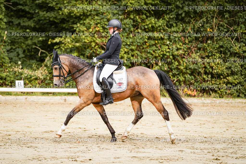 DSC02521 | Pferdegrafie