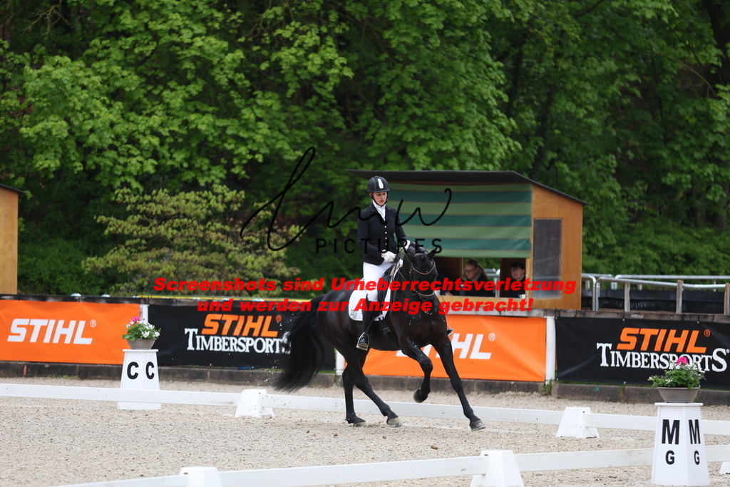 A40A6929 | lmwpictures - Realisiert mit Pictrs.com